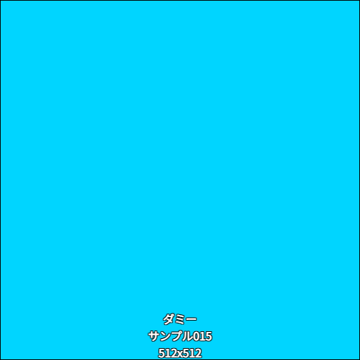 ダミー015