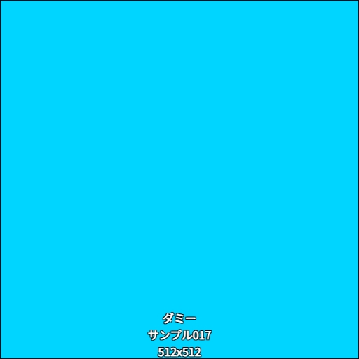 ダミー017