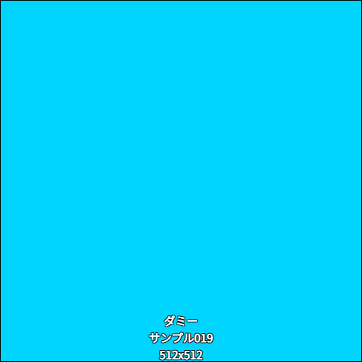 ダミー019