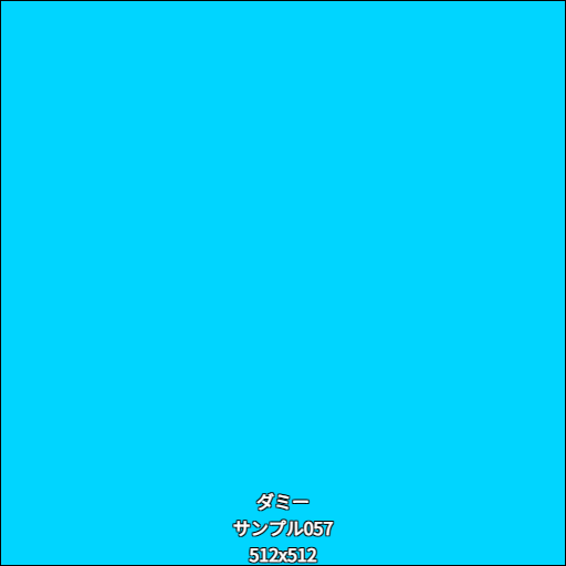 ダミー057