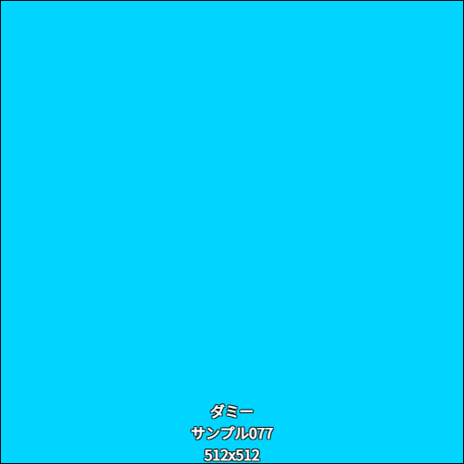 ダミー077