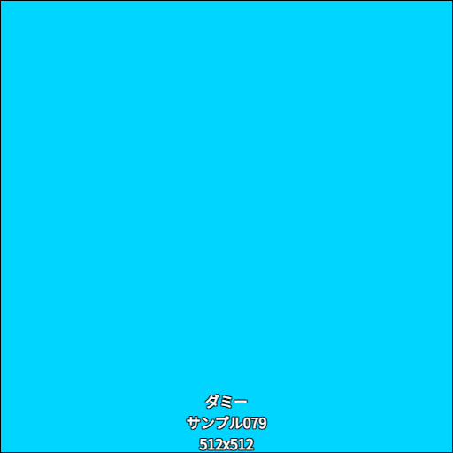 ダミー079
