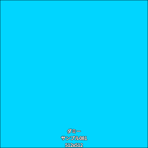 ダミー081