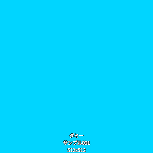 ダミー091