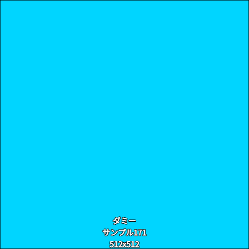 ダミー171
