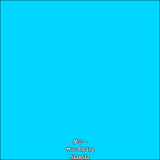 ダミー172